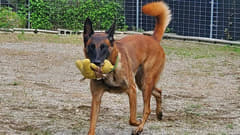 本業とは別に習いたい方