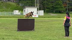 研修、ボランティア勤務したい方