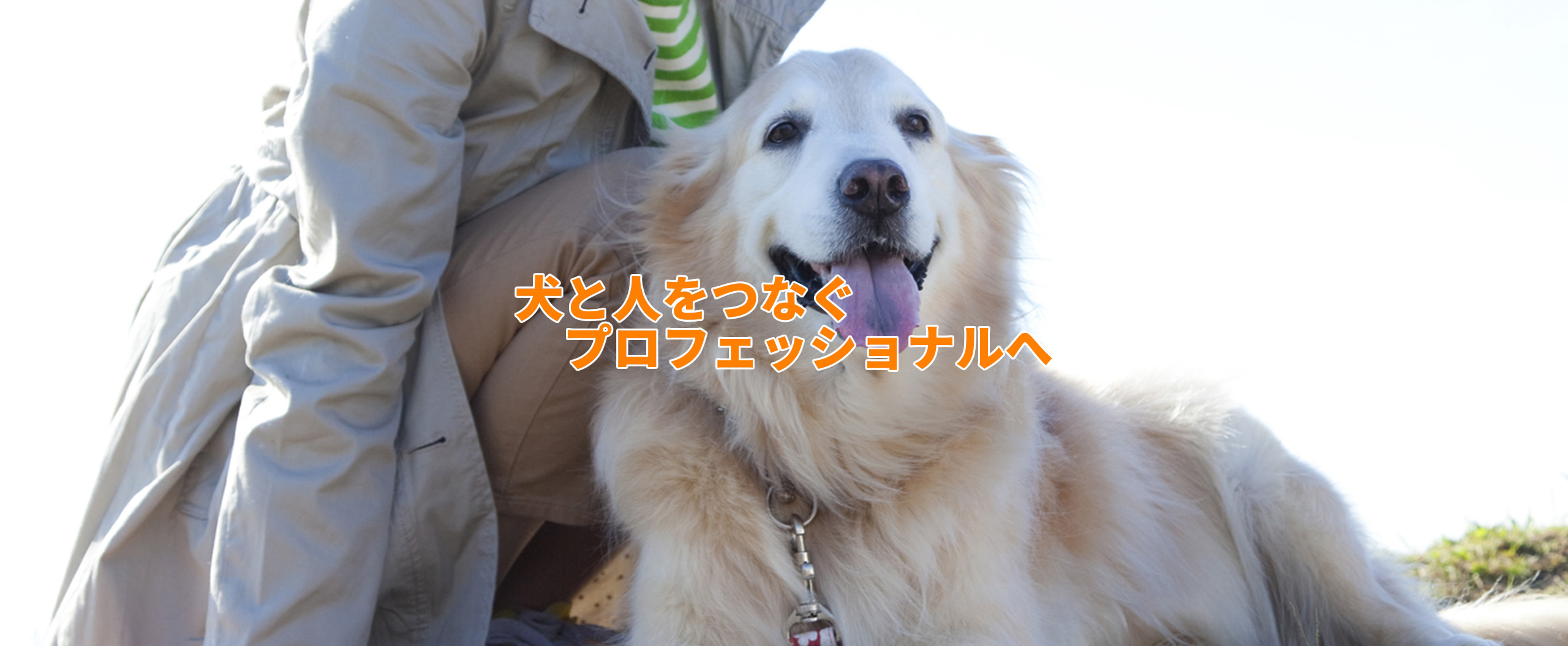 ドッグアニマル トレーナースクール Luuna　千葉市