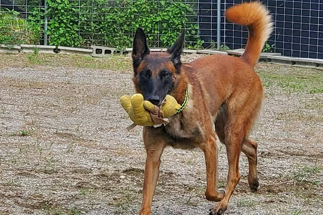 本業とは別に習いたい方