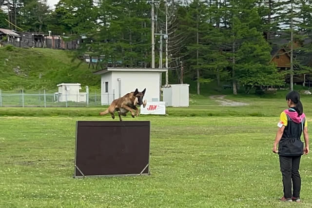 研修、ボランティア勤務したい方