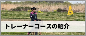 ドッグトレーニングスクール Luuna　千葉市コースの紹介はこちら